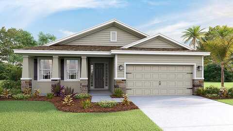Canopy Oak Boulevard, Wildwood, FL 34785