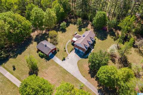 205 BEAVER RIDGE CIRCLE, ASHVILLE, AL 35953