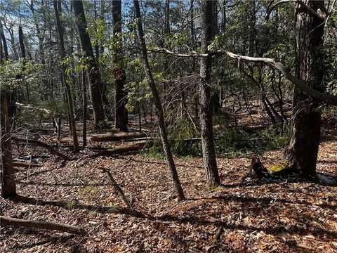 Tract 3 Timber Ridge Road, Millers Creek, NC 28651