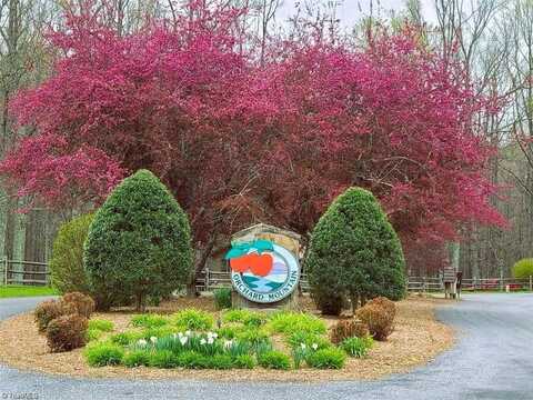 Lot 35 Baldwin Drive, Lowgap, NC 27024