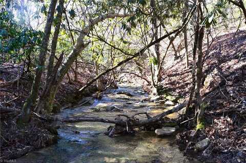 118 Acres - Hanging Rock Park Road, Danbury, NC 27016