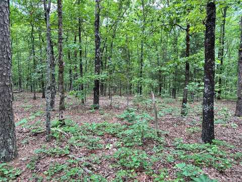 00 Pryor Mt. Road Roads, Quitman, AR 72131