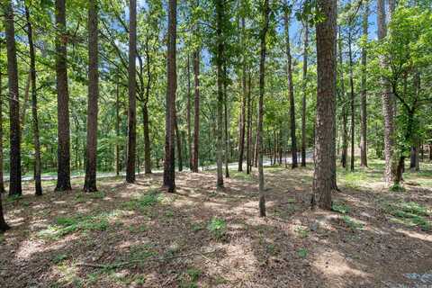 1516 E Lawson Road, Little Rock, AR 72210