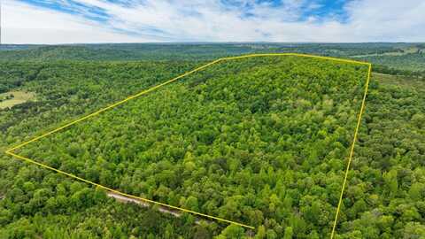 1505 Brushy Creek Road, Mountain View, AR 72560