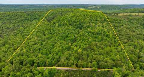 1505 Brushy Creek Road, Mountain View, AR 72560