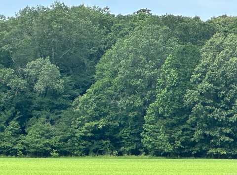 hwy 189 n, Hamburg, AR 71646