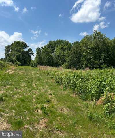 lOT 2B KINGS HWY, MONTROSS, VA 22520