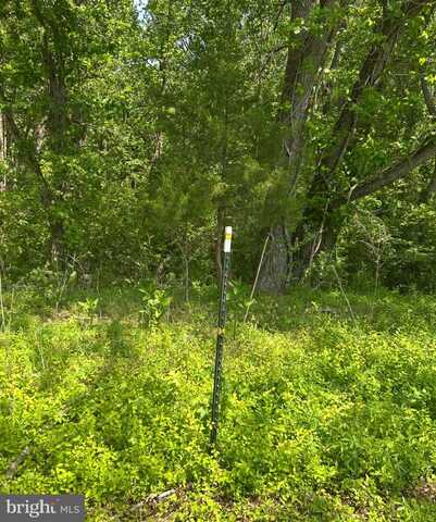 lOT 1A KINGS HWY, MONTROSS, VA 22520