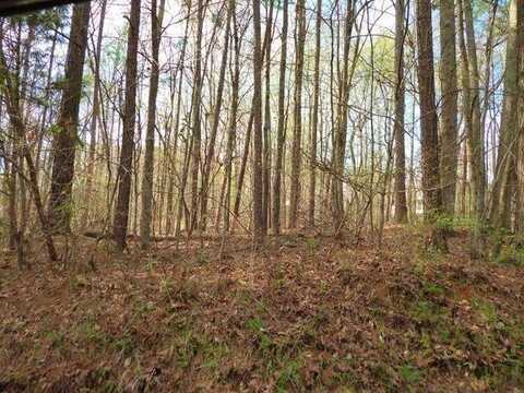 N/A Eldridge Road, Soddy Daisy, TN 37379