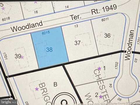 6015 WOODLAND TERRACE, MCLEAN, VA 22101