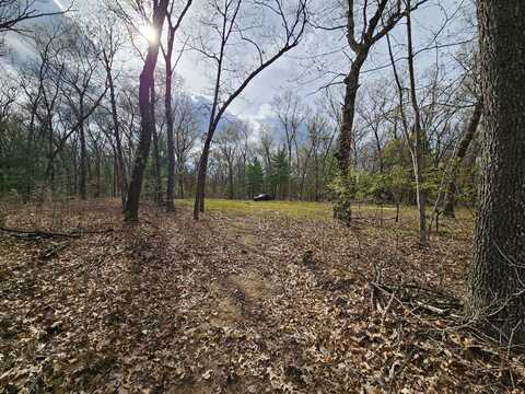 2602 E 88TH STREET, NEWAYGO, MI 49337