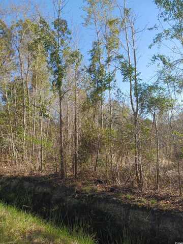 TBD Fowler School Rd., Green Sea, SC 29545