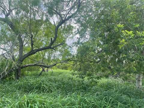 0 Lake Terrace Drive, Mathis, TX 78368