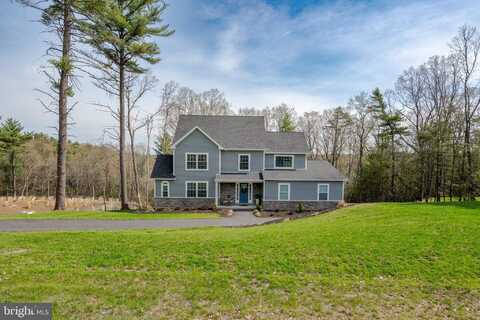 131 CHINABERRY WAY, KUNKLETOWN, PA 18058