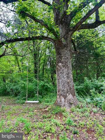 CAMERON ROAD, GORDONSVILLE, VA 22942
