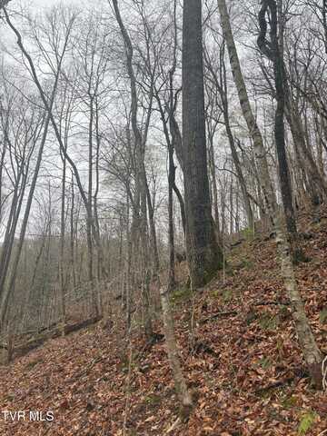 0 Wagoner Town Road, Saint Charles, VA 24282