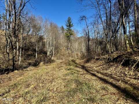 207/Ac Tbd Highway 421, Mountain City, TN 37683
