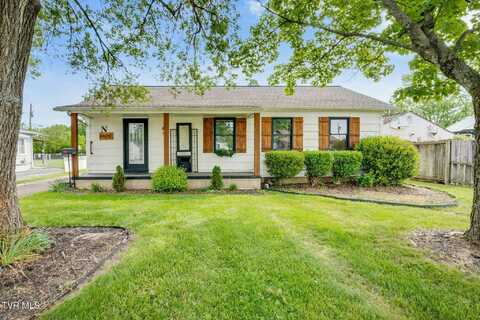 1620 Hermitage Drive, Kingsport, TN 37664