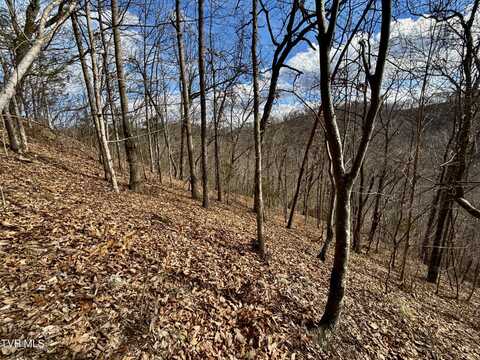 Lot 1 Caney Creek Lane, Greeneville, TN 37745