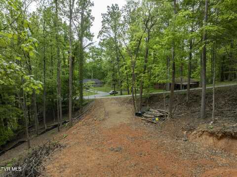 Briarwood Road lot: 6, Kingsport, TN 37664
