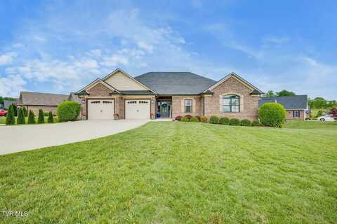 3180 Allison Meadows Boulevard, Piney Flats, TN 37686