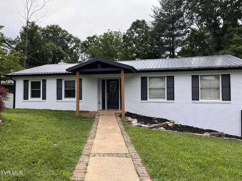 8 Brooklawn Court, Johnson City, TN 37604