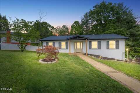 8 Brooklawn Court, Johnson City, TN 37604