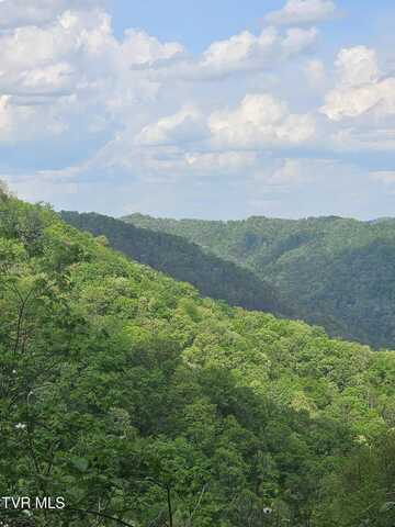 1097 Peter Pan Road, Big Rock, VA 24603