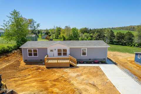 210 Songbird Way, White Pine, TN 37890