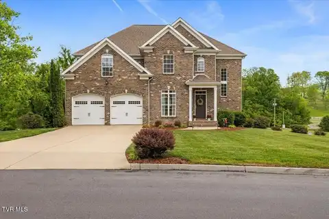 62 Sunset Meadows Court, Gray, TN 37615