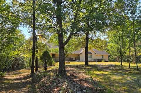 95 Ratteree Road, BUCHANAN, TN 38222