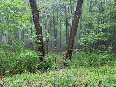 5 Elbow Lane, Highland, NY 12528