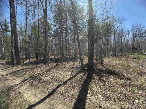 TBD Lot 29 1st St, Manistique, MI 49854