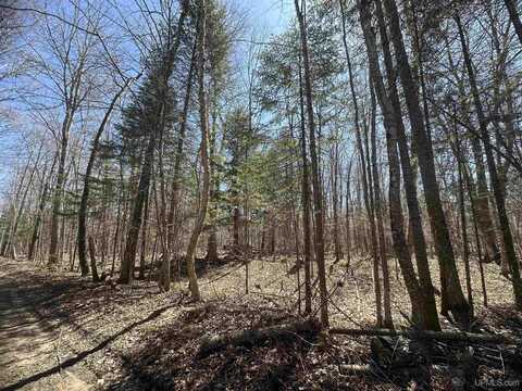 TBD Lot 27 1st St, Manistique, MI 49854