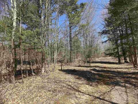 Lots 243-253 8th, Manistique, MI 48654