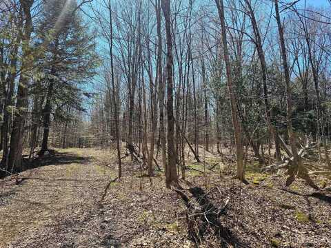 Lots 9th, Manistique, MI 49854