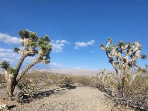 1765 W Las Vegas Drive, Meadview, AZ 86444