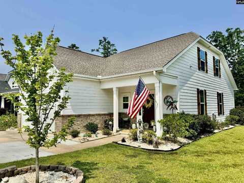 348 Amalfi Drive, Chapin, SC 29036