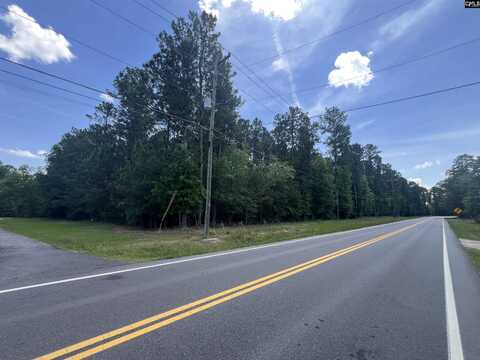 0 Murray Lindler Road, Chapin, SC 29036
