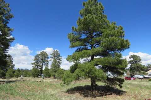 31 Pioneer Court, Pagosa Springs, CO 81147