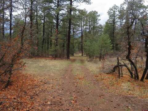 90 Harry's Court, Pagosa Springs, CO 81147