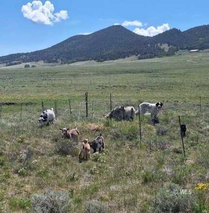 145 Atlasta Dr, Westcliffe, CO 81252
