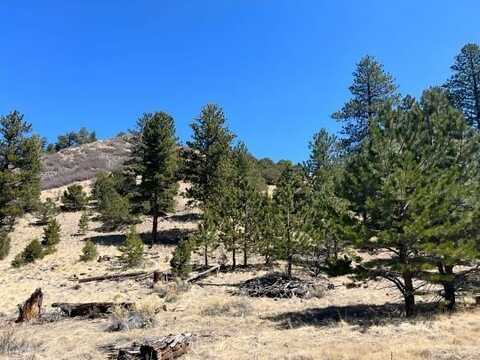 1500 Bunker Hill Rd, Silver Cliff, CO 81252
