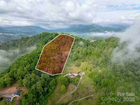 0000 Belmont Drive, Clyde, NC 28721