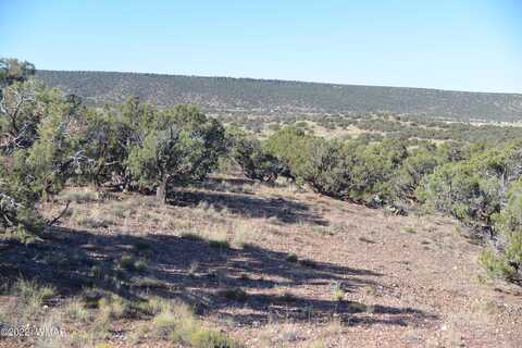 4389 Sorrel Road, Snowflake, AZ 85937