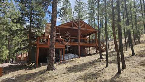 15 County Road 2065, Alpine, AZ 85920
