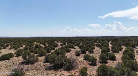 3981 Apache Road, Snowflake, AZ 85937