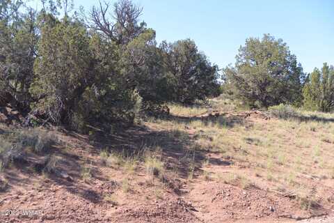 4211 Sorrel Road, Snowflake, AZ 85937
