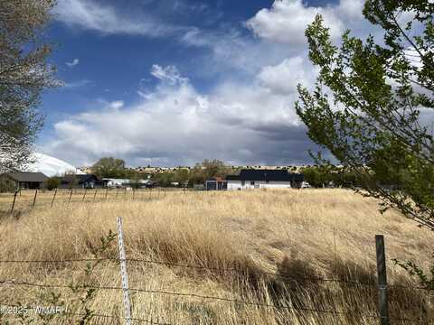 Tbd 4th Avenue, Eagar, AZ 85925