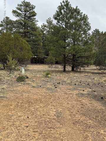 4610 W Hawthorn Road, Show Low, AZ 85901